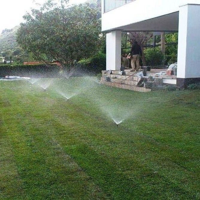 Photo de création d'arrosage automatique