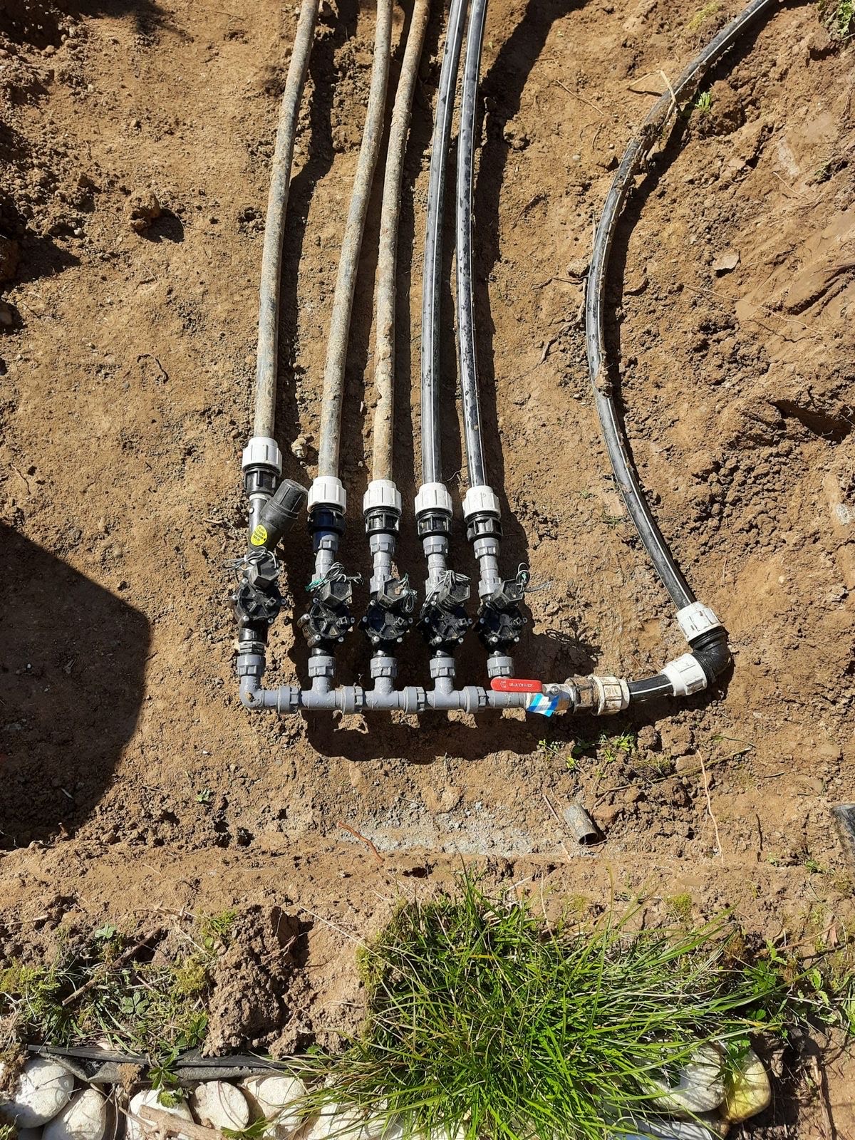 Photo de création d'arrosage automatique