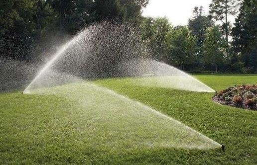 Photo de création d'arrosage automatique