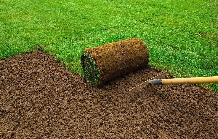 Photo de création de jardin