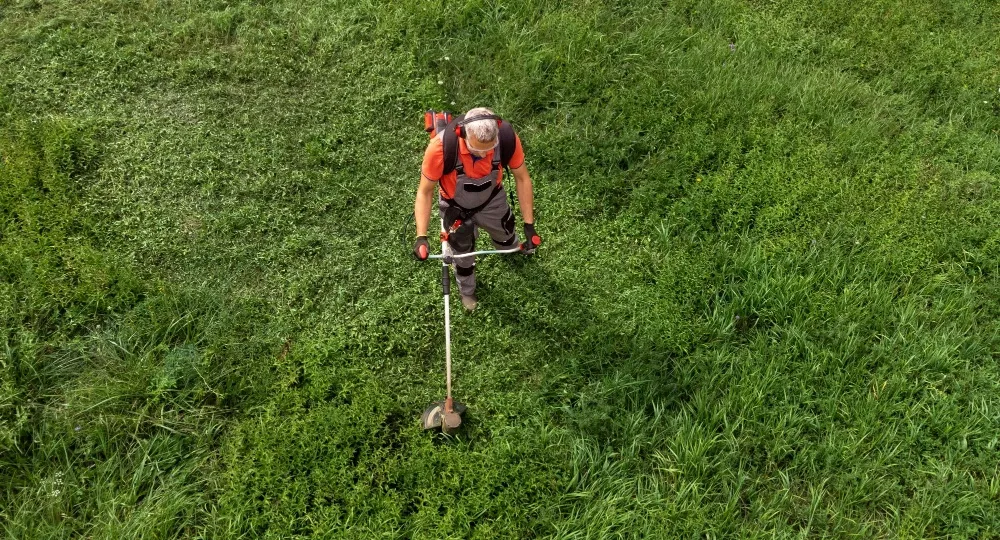 Photo d'un débroussaillage