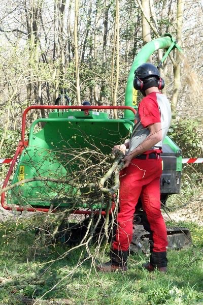 photo d'élagage modern paysage