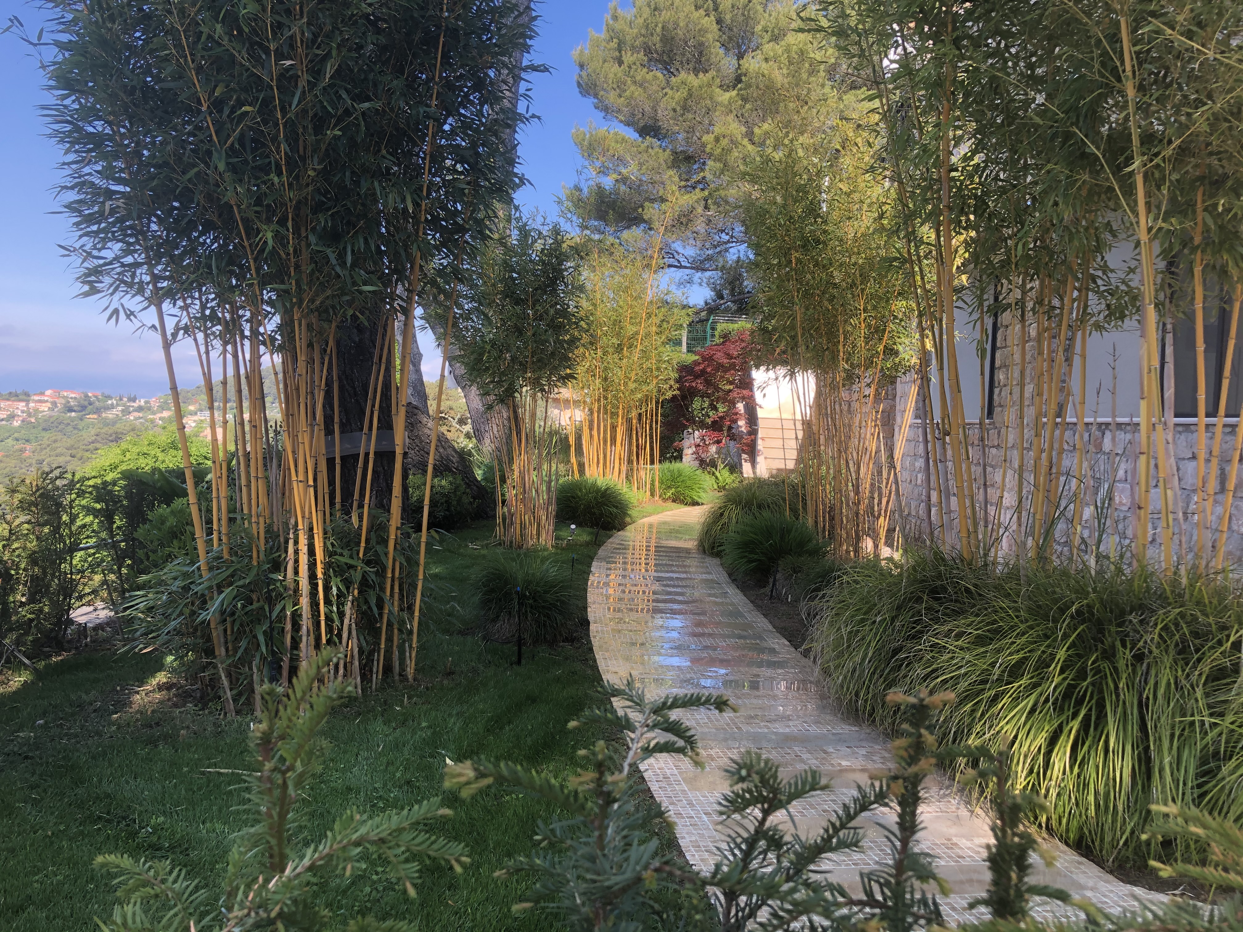 photo d'un jardin modern garden