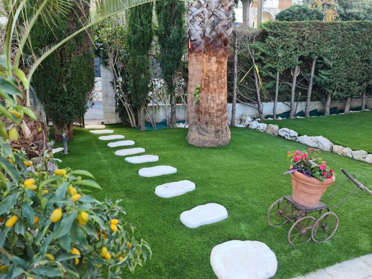 Image illustrant l'article